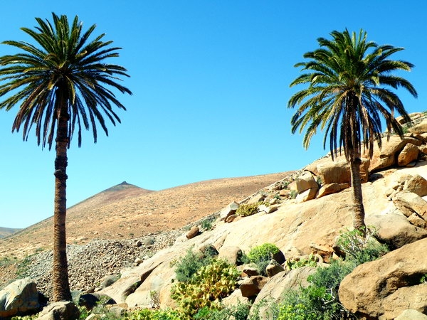Impressionen Fuerteventura